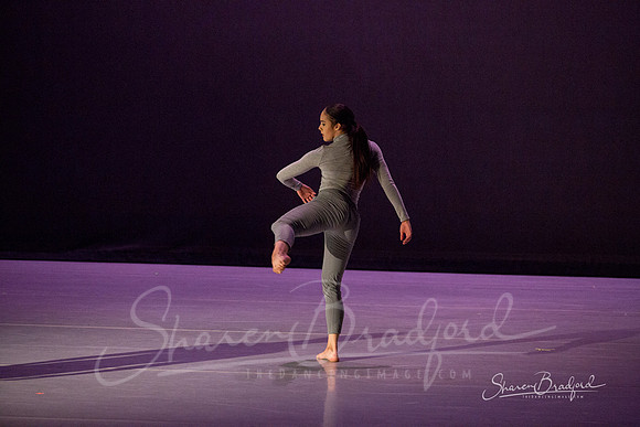 Lingering Shadow pc Sharen Bradford-7050