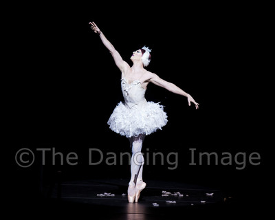 Dying Swan-0546