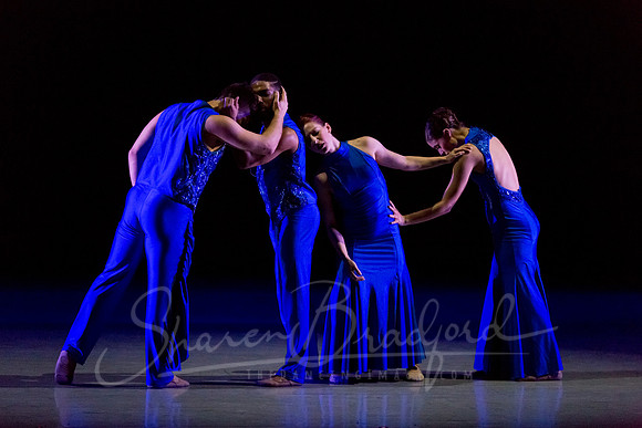 Following Echoes - pc Sharen Bradford-3344