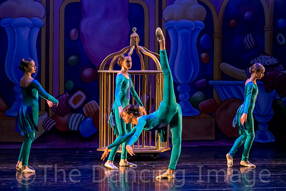 Royale Ballet Nutcracker-1854