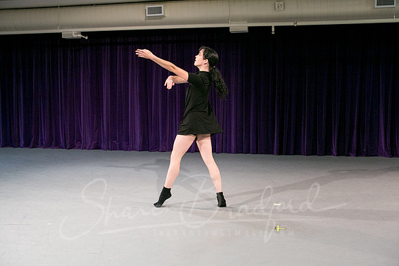 Gold Shadow pc Sharen Bradford-1721