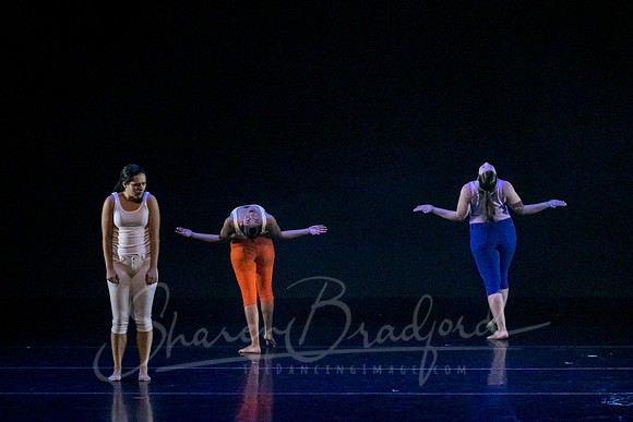 imPULSE dance project pc Sharen Bradford-4002