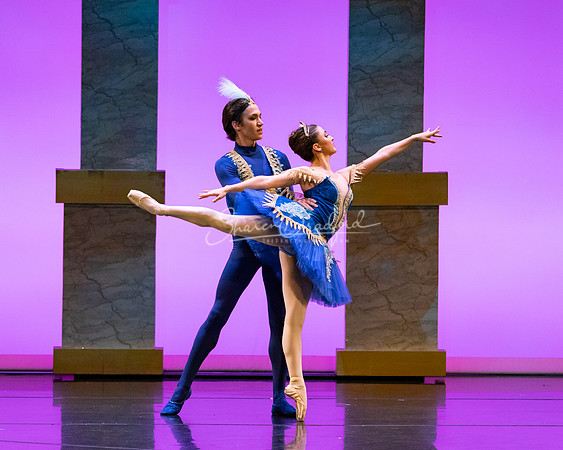 Ballet NTX Sleeping Beauty pc Sharen Bradford-1845