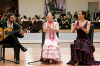 Flamenco-2-4