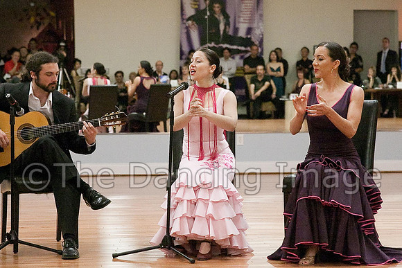 Flamenco-2-4