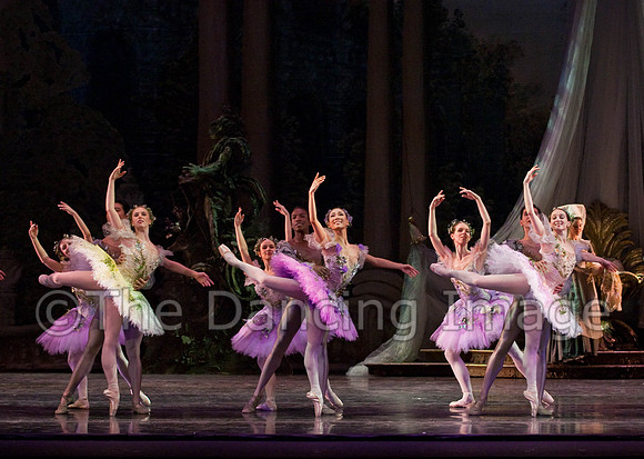 TB Sleeping Beauty Wed.-0127-2
