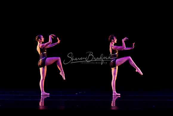 In Search of an Exit pc Sharen Bradford-1530