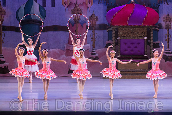 IMG_1263
