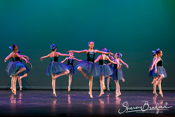 Khachaturian Waltz pc Sharen Bradford-3661