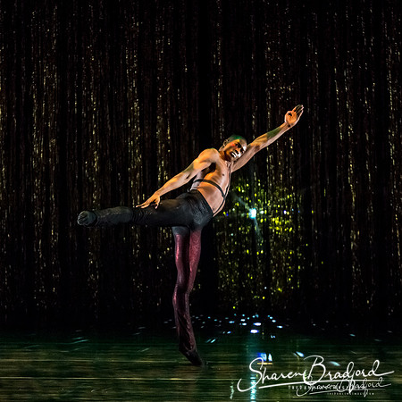 Stardust-pc Sharen Bradford-1610