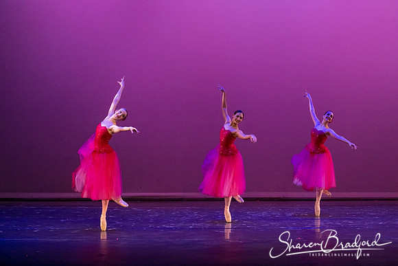 Waltz of the Flowers pc Sharen Bradford-2861