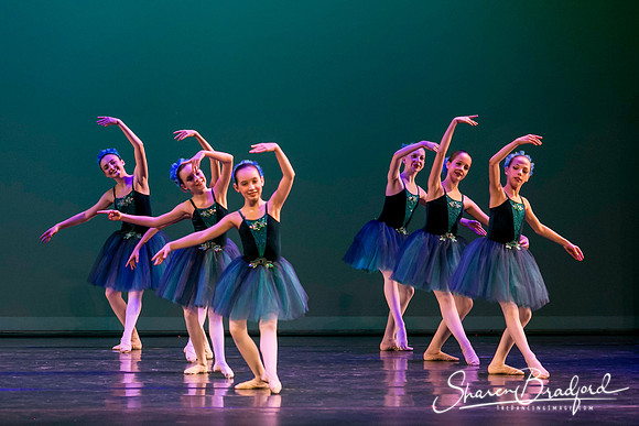 Khachaturian Waltz pc Sharen Bradford-3700
