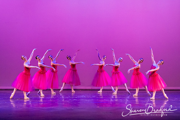 Waltz of the Flowers pc Sharen Bradford-2733