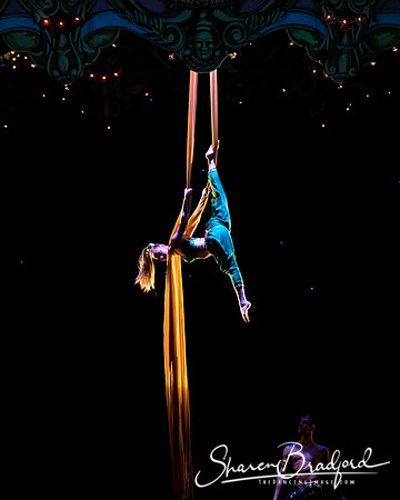Nutcracker eve pc Sharen Bradford-7025