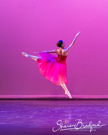 Waltz of the Flowers pc Sharen Bradford-2777
