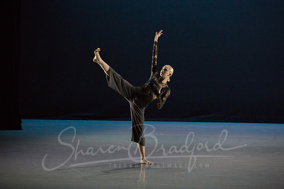 Beyond the Cover pc Sharen Bradford-6857
