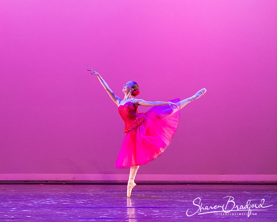 Waltz of the Flowers pc Sharen Bradford-2762