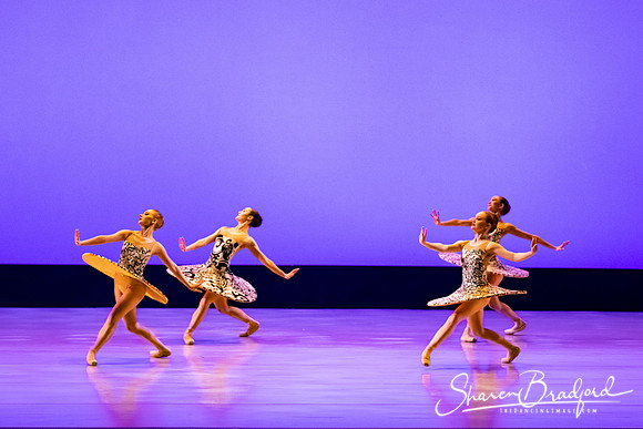 Ballet 37 pc Sharen Bradford-0353
