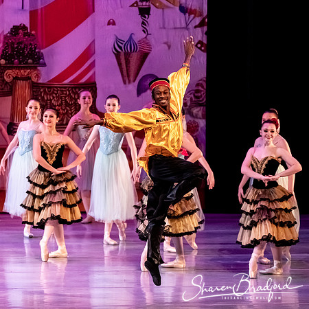 CCBT Nutcracker 19 pc Sharen Bradford-5410