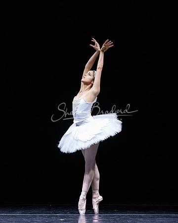 Dying Swan pc Sharen Bradford-1262