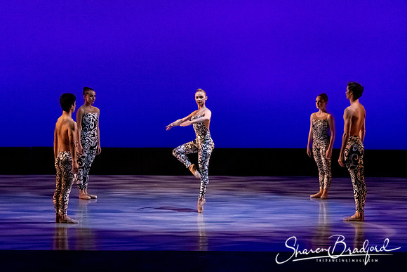 Ballet 37 pc Sharen Bradford-0526