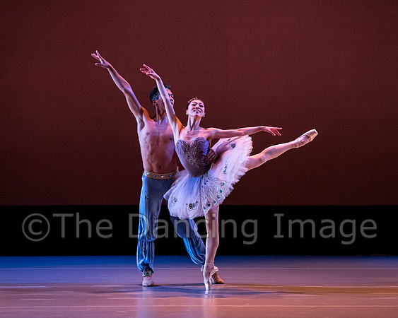 Le Corsaire-3014