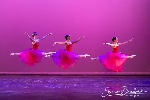 Waltz of the Flowers pc Sharen Bradford-2792-Edit