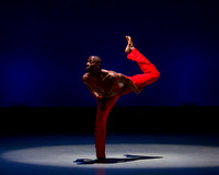 Alvin Ailey ADT-0096