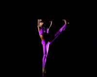 DBDT Execution of a Sentiment pc Sharen Bradford-0976