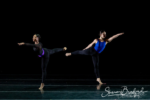 DBDT Execution of a Sentiment pc Sharen Bradford-0886