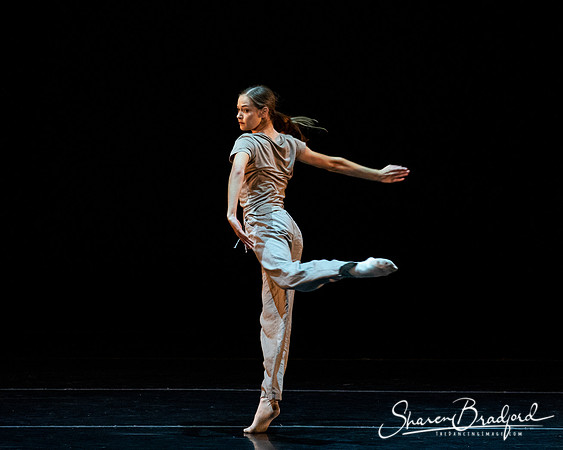 FW Academy of Fine Arts pc Sharen Bradford-2940