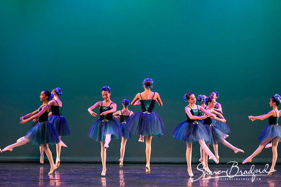 Khachaturian Waltz pc Sharen Bradford-3664