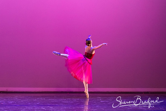 Waltz of the Flowers pc Sharen Bradford-2794