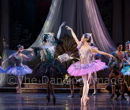 TB Sleeping Beauty Wed.-0524