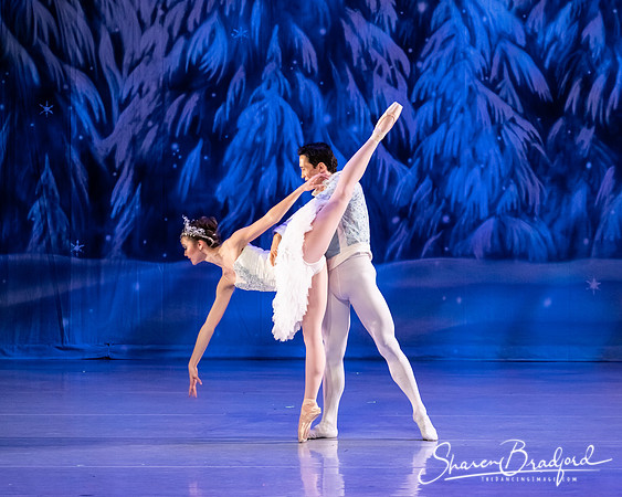 CCBT Nutcracker 19 pc Sharen Bradford-4882
