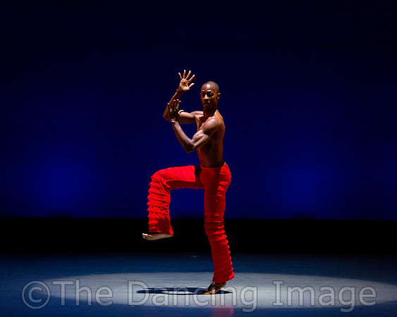 Alvin Ailey ADT-0091