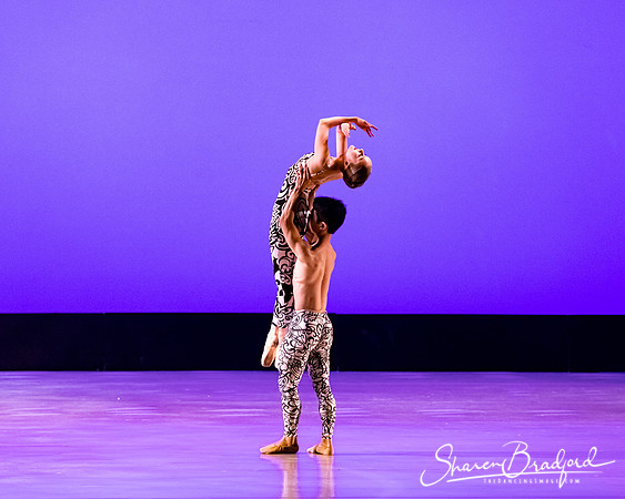 Ballet 37 pc Sharen Bradford-0432