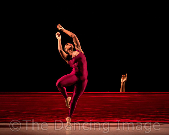 DBDT Encore-8655