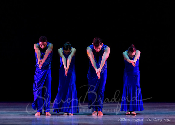 Following Echoes - pc Sharen Bradford-0918