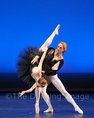 Black Swan-1130