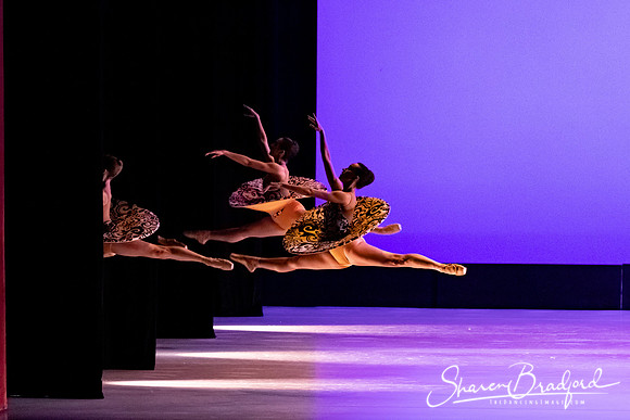 Ballet 37 pc Sharen Bradford-0423