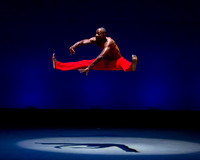 Alvin Ailey ADT-0089
