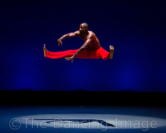 Alvin Ailey ADT-0089