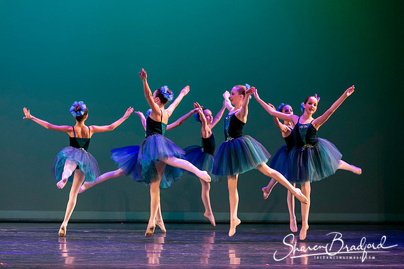 Khachaturian Waltz pc Sharen Bradford-3713