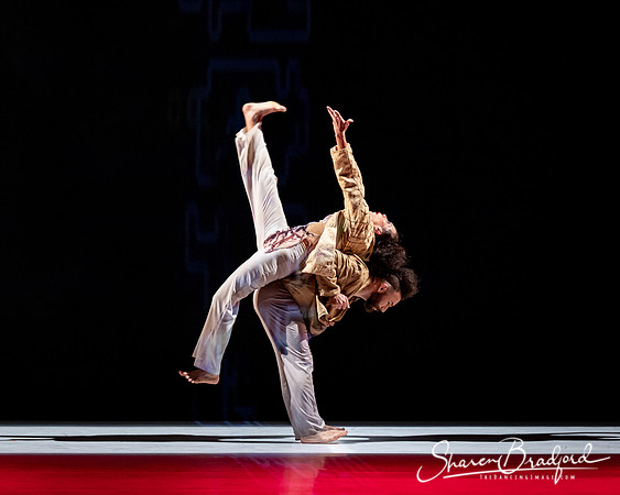 Delfos Danza pc Sharen Bradford-0508