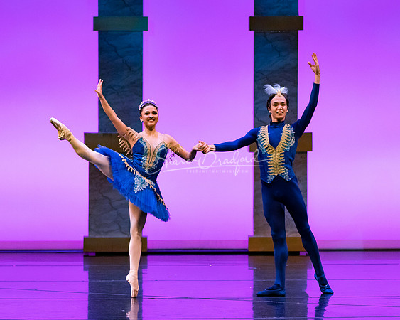 Ballet NTX Sleeping Beauty pc Sharen Bradford-1886