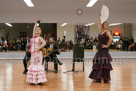 Flamenco-2-83