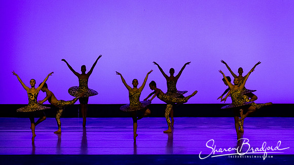 Ballet 37 pc Sharen Bradford-0212