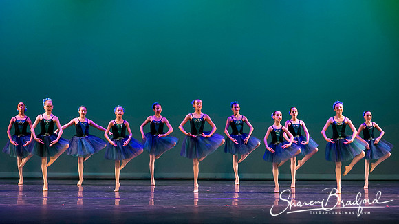 Khachaturian Waltz pc Sharen Bradford-3722