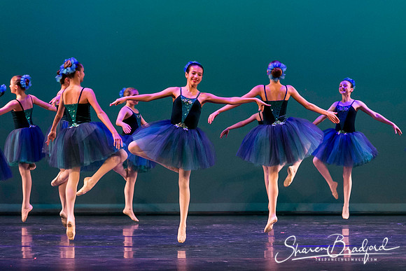 Khachaturian Waltz pc Sharen Bradford-3673